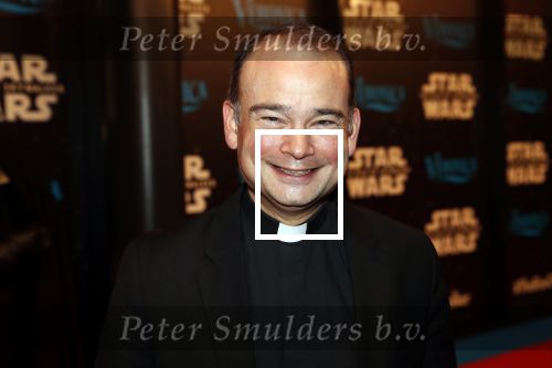 Amsterdam 17 december 2019
Premiere Starwars in het Amsterdam theater. Roderick Vorhogen