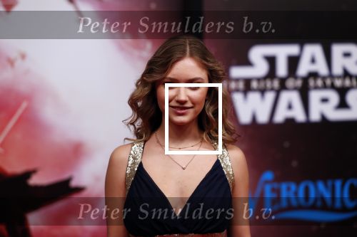 Amsterdam 17 december 2019
Premiere Starwars in het Amsterdam theater. Sterre Koning en Martijn Koning