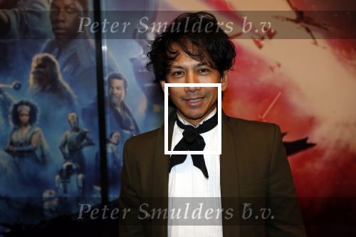 Amsterdam 17 december 2019
Premiere Starwars in het Amsterdam theater. Wibi Soerjadi