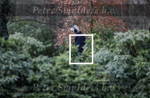 Maarssen 4 februari 2021
Berend Boudewijn werkt in zijn tuin.