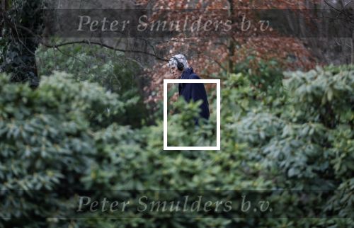 Maarssen 4 februari 2021
Berend Boudewijn werkt in zijn tuin.