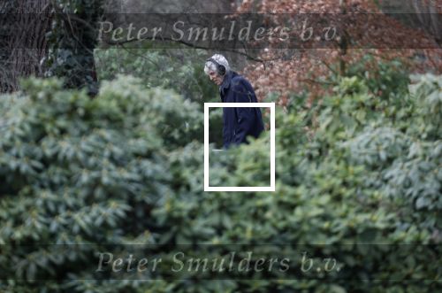 Maarssen 4 februari 2021
Berend Boudewijn werkt in zijn tuin.