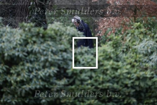 Maarssen 4 februari 2021
Berend Boudewijn werkt in zijn tuin.