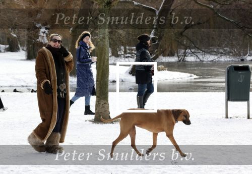 Amsterdam 9 februari 2021
Claudia Schoemacher met hond in het vondelpark. Het vondelpark is wit van de sneeuw.