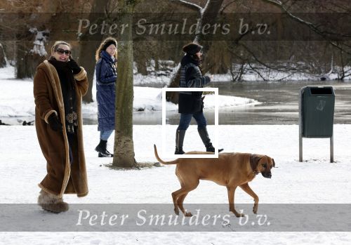 Amsterdam 9 februari 2021
Claudia Schoemacher met hond in het vondelpark. Het vondelpark is wit van de sneeuw.