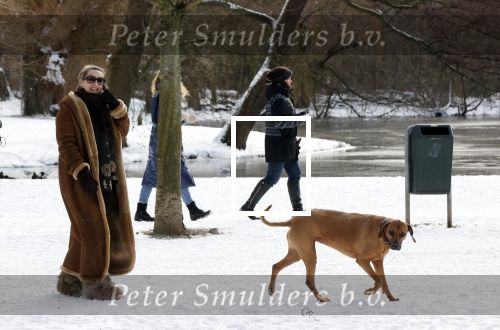 Amsterdam 9 februari 2021
Claudia Schoemacher met hond in het vondelpark. Het vondelpark is wit van de sneeuw.