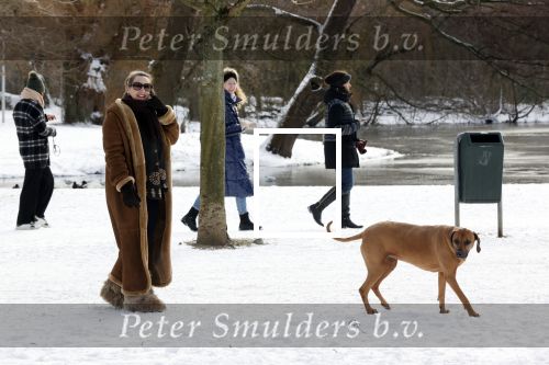 Amsterdam 9 februari 2021
Claudia Schoemacher met hond in het vondelpark. Het vondelpark is wit van de sneeuw.