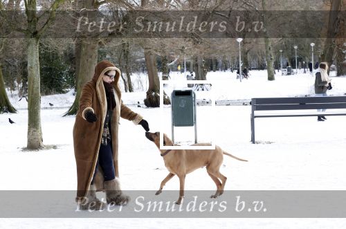 Amsterdam 9 februari 2021
Claudia Schoemacher met hond in het vondelpark. Het vondelpark is wit van de sneeuw.