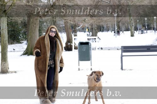 Amsterdam 9 februari 2021
Claudia Schoemacher met hond in het vondelpark. Het vondelpark is wit van de sneeuw.