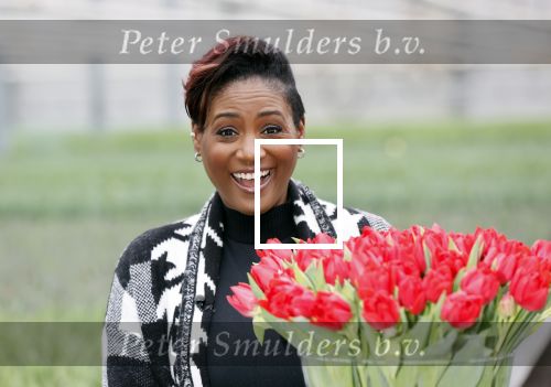 Spierdijk 19 januari 2021
Edsilia Rombley doopt haar eigen tulp de Edsilia