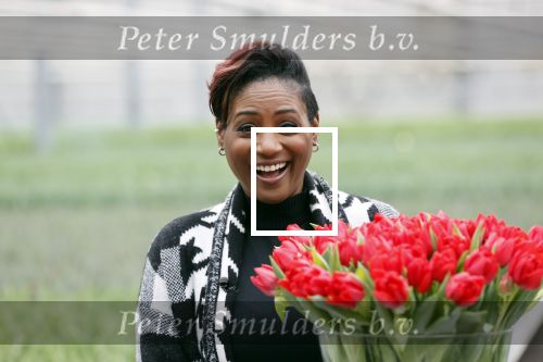 Spierdijk 19 januari 2021
Edsilia Rombley doopt haar eigen tulp de Edsilia