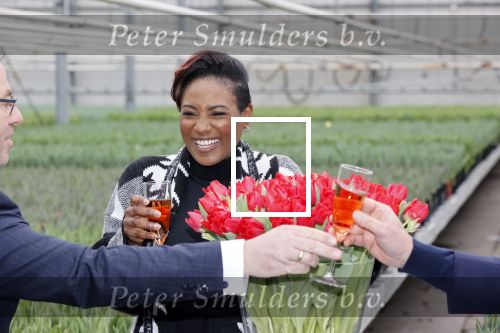 Spierdijk 19 januari 2021
Edsilia Rombley doopt haar eigen tulp de Edsilia