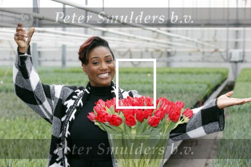 Spierdijk 19 januari 2021
Edsilia Rombley doopt haar eigen tulp de Edsilia