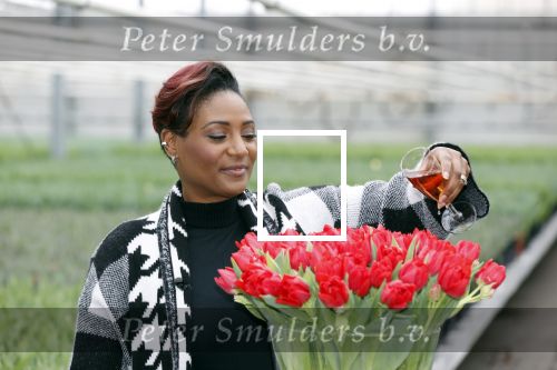 Spierdijk 19 januari 2021
Edsilia Rombley doopt haar eigen tulp de Edsilia