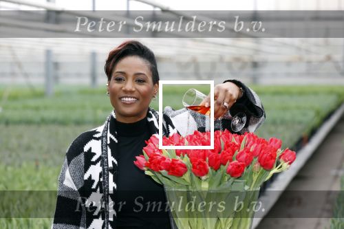 Spierdijk 19 januari 2021
Edsilia Rombley doopt haar eigen tulp de Edsilia