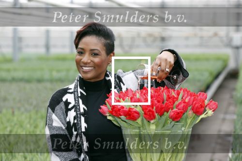 Spierdijk 19 januari 2021
Edsilia Rombley doopt haar eigen tulp de Edsilia