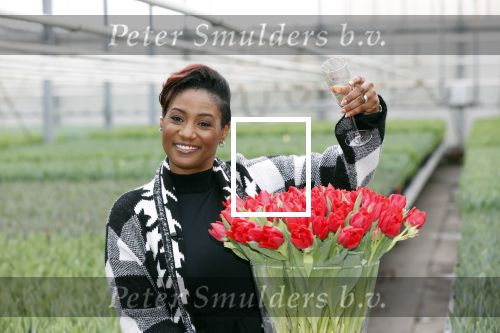 Spierdijk 19 januari 2021
Edsilia Rombley doopt haar eigen tulp de Edsilia