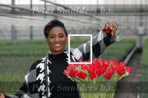 Spierdijk 19 januari 2021
Edsilia Rombley doopt haar eigen tulp de Edsilia