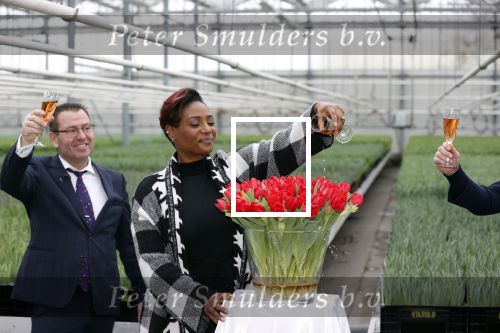 Spierdijk 19 januari 2021
Edsilia Rombley doopt haar eigen tulp de Edsilia
