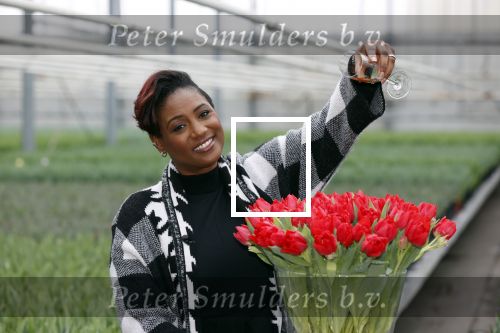 Spierdijk 19 januari 2021
Edsilia Rombley doopt haar eigen tulp de Edsilia