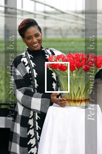 Spierdijk 19 januari 2021
Edsilia Rombley doopt haar eigen tulp de Edsilia