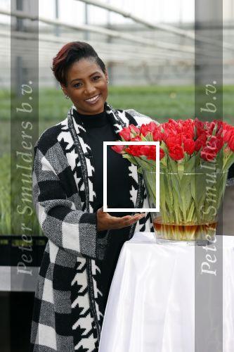 Spierdijk 19 januari 2021
Edsilia Rombley doopt haar eigen tulp de Edsilia