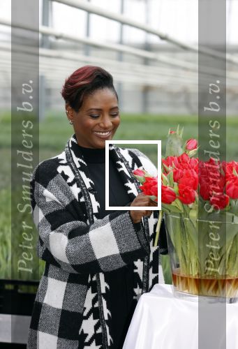 Spierdijk 19 januari 2021
Edsilia Rombley doopt haar eigen tulp de Edsilia