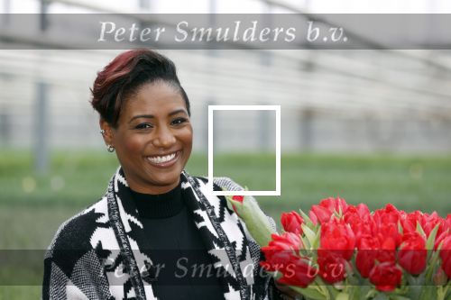 Spierdijk 19 januari 2021
Edsilia Rombley doopt haar eigen tulp de Edsilia