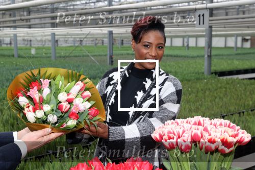 Spierdijk 19 januari 2021
Edsilia Rombley doopt haar eigen tulp de Edsilia