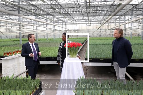 Spierdijk 19 januari 2021
Edsilia Rombley doopt haar eigen tulp de Edsilia