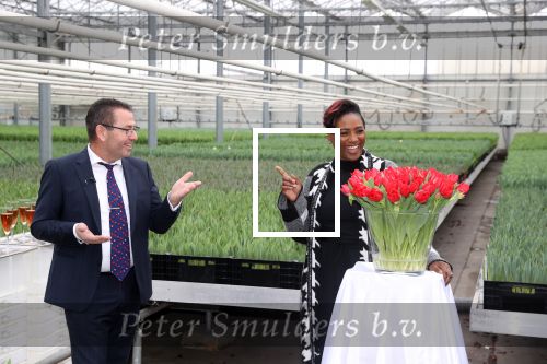 Spierdijk 19 januari 2021
Edsilia Rombley doopt haar eigen tulp de Edsilia