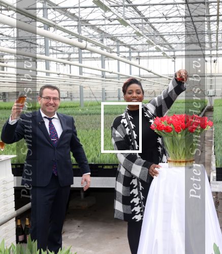 Spierdijk 19 januari 2021
Edsilia Rombley doopt haar eigen tulp de Edsilia