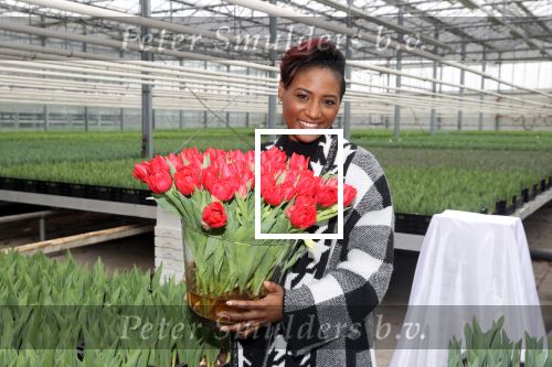 Spierdijk 19 januari 2021
Edsilia Rombley doopt haar eigen tulp de Edsilia