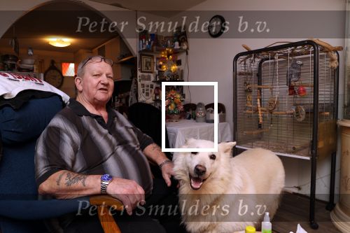Almere 2 februari 2021
Op bezoek thuis bij Gerrie Tokkie Ruijmgaart. Hun huis staat in Almere . Ze hebben een hond en een pappegaai