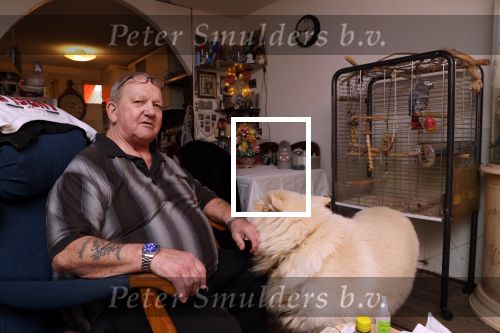 Almere 2 februari 2021
Op bezoek thuis bij Gerrie Tokkie Ruijmgaart. Hun huis staat in Almere . Ze hebben een hond en een pappegaai