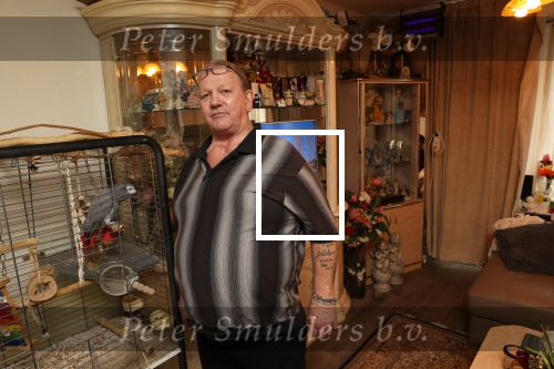 Almere 2 februari 2021
Op bezoek thuis bij Gerrie Tokkie Ruijmgaart. Hun huis staat in Almere . Ze hebben een hond en een pappegaai