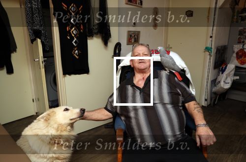 Almere 2 februari 2021
Op bezoek thuis bij Gerrie Tokkie Ruijmgaart. Hun huis staat in Almere . Ze hebben een hond en een pappegaai