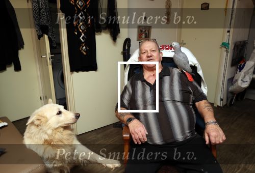 Almere 2 februari 2021
Op bezoek thuis bij Gerrie Tokkie Ruijmgaart. Hun huis staat in Almere . Ze hebben een hond en een pappegaai