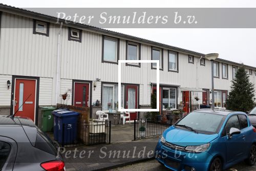 Almere 2 februari 2021
Op bezoek thuis bij Gerrie Tokkie Ruijmgaart. Hun huis staat in Almere . Ze hebben een hond en een pappegaai