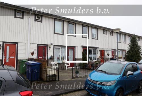 Almere 2 februari 2021
Op bezoek thuis bij Gerrie Tokkie Ruijmgaart. Hun huis staat in Almere . Ze hebben een hond en een pappegaai