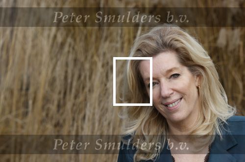 Woerden 21 januari 2021
Liane den Haan , lijsttrekker 50 plus wordt thuis geinterviewd door Nick Dijkman van Story. Liane woont samen met haar kinderen en haar moeder in 1 huis.