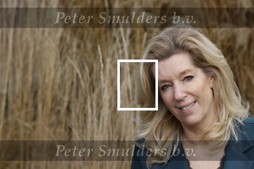 Woerden 21 januari 2021
Liane den Haan , lijsttrekker 50 plus wordt thuis geinterviewd door Nick Dijkman van Story. Liane woont samen met haar kinderen en haar moeder in 1 huis.