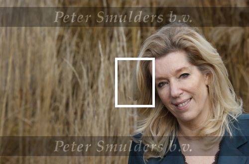 Woerden 21 januari 2021
Liane den Haan , lijsttrekker 50 plus wordt thuis geinterviewd door Nick Dijkman van Story. Liane woont samen met haar kinderen en haar moeder in 1 huis.