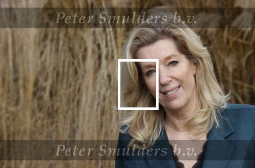 Woerden 21 januari 2021
Liane den Haan , lijsttrekker 50 plus wordt thuis geinterviewd door Nick Dijkman van Story. Liane woont samen met haar kinderen en haar moeder in 1 huis.