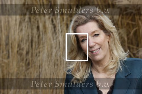 Woerden 21 januari 2021
Liane den Haan , lijsttrekker 50 plus wordt thuis geinterviewd door Nick Dijkman van Story. Liane woont samen met haar kinderen en haar moeder in 1 huis.