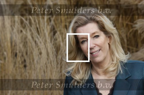 Woerden 21 januari 2021
Liane den Haan , lijsttrekker 50 plus wordt thuis geinterviewd door Nick Dijkman van Story. Liane woont samen met haar kinderen en haar moeder in 1 huis.