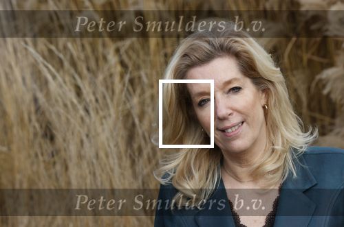 Woerden 21 januari 2021
Liane den Haan , lijsttrekker 50 plus wordt thuis geinterviewd door Nick Dijkman van Story. Liane woont samen met haar kinderen en haar moeder in 1 huis.