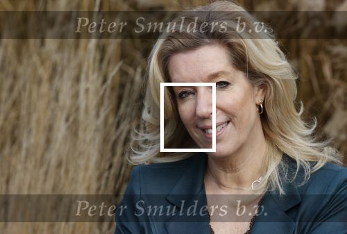 Woerden 21 januari 2021
Liane den Haan , lijsttrekker 50 plus wordt thuis geinterviewd door Nick Dijkman van Story. Liane woont samen met haar kinderen en haar moeder in 1 huis.