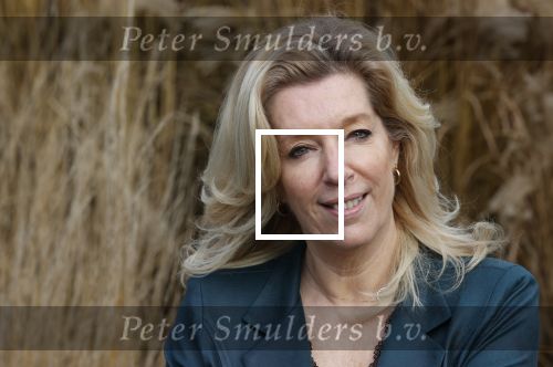 Woerden 21 januari 2021
Liane den Haan , lijsttrekker 50 plus wordt thuis geinterviewd door Nick Dijkman van Story. Liane woont samen met haar kinderen en haar moeder in 1 huis.