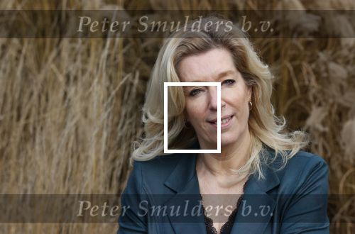 Woerden 21 januari 2021
Liane den Haan , lijsttrekker 50 plus wordt thuis geinterviewd door Nick Dijkman van Story. Liane woont samen met haar kinderen en haar moeder in 1 huis.